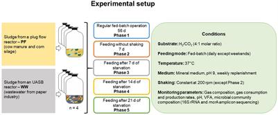 Microbial Communities in Flexible Biomethanation of Hydrogen Are Functionally Resilient Upon Starvation